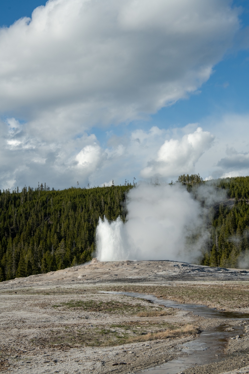 DSC_1995.jpg