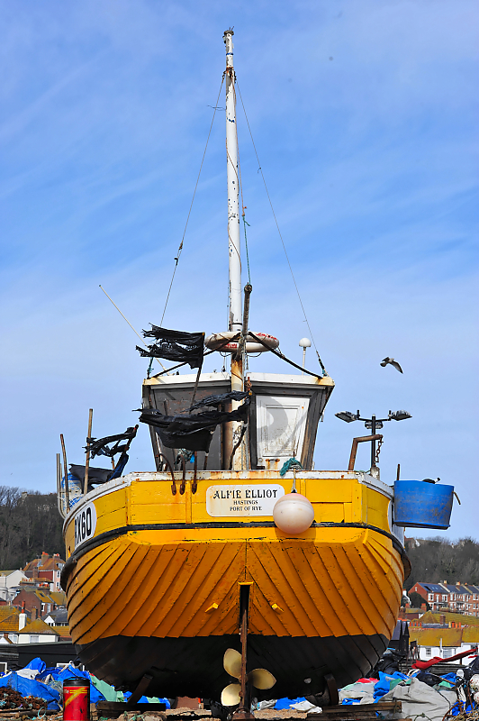 DSC_1996.jpg
