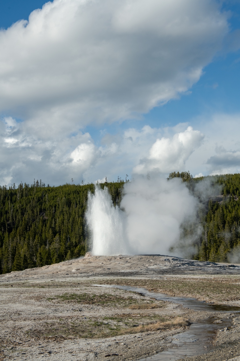 DSC_1997.jpg