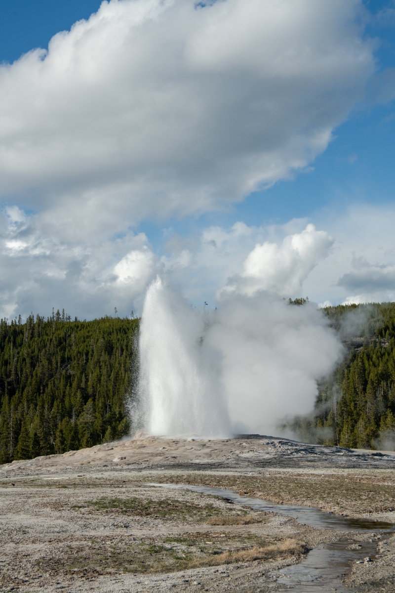 DSC_2001.jpg