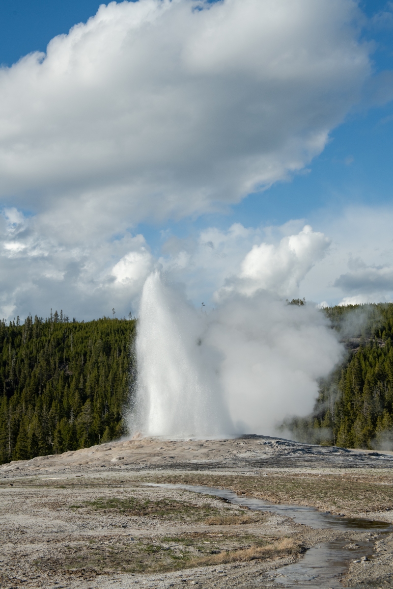 DSC_2002.jpg