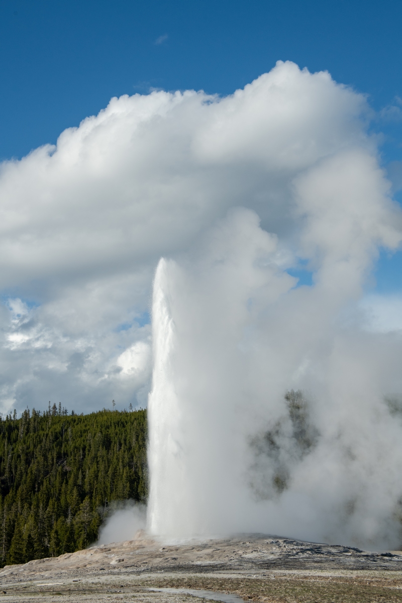 DSC_2021.jpg
