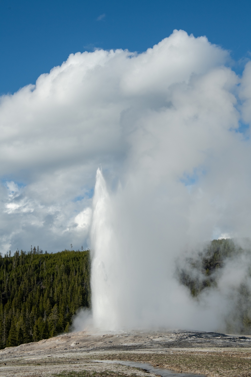 DSC_2024.jpg