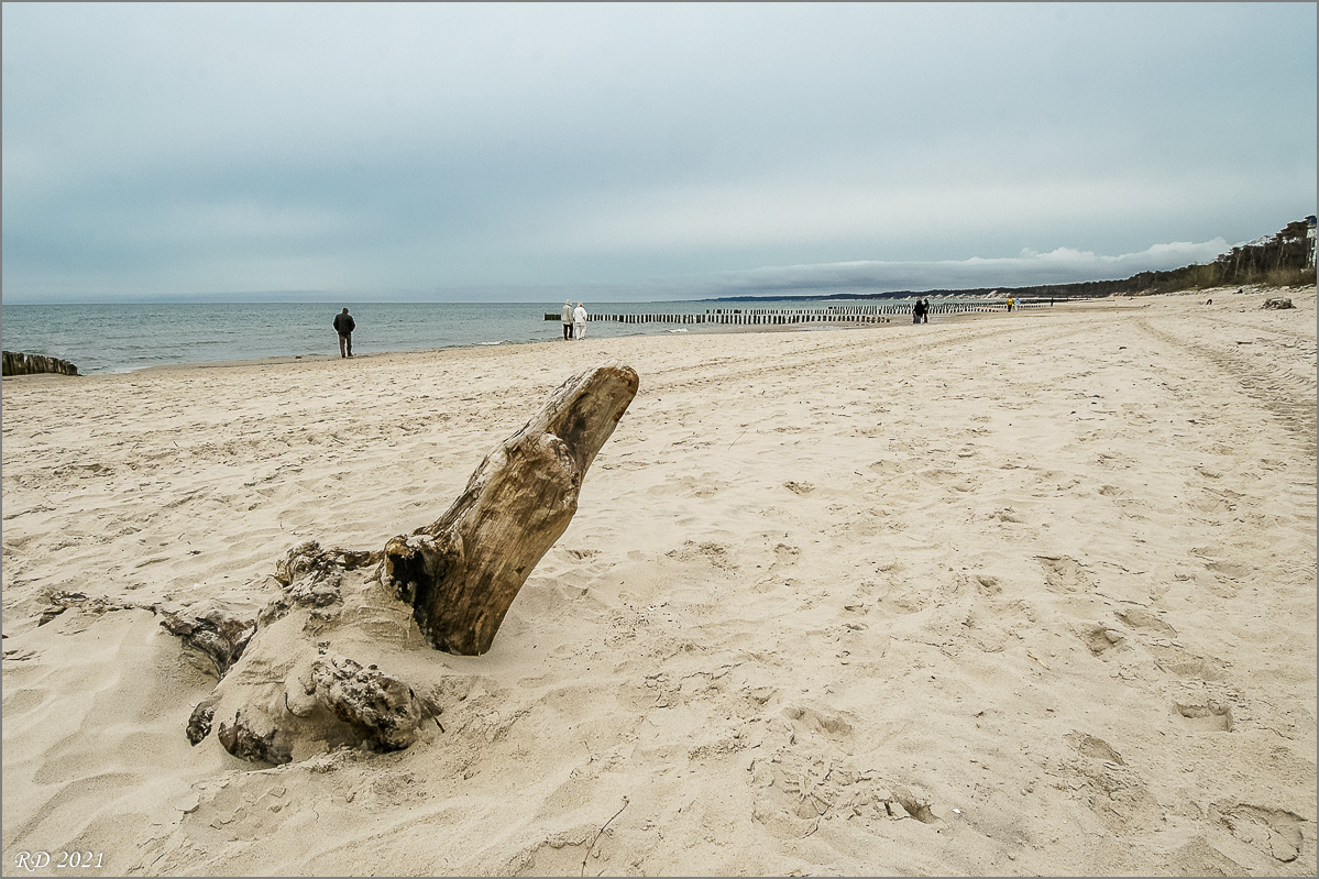 dsc_2025.jpg