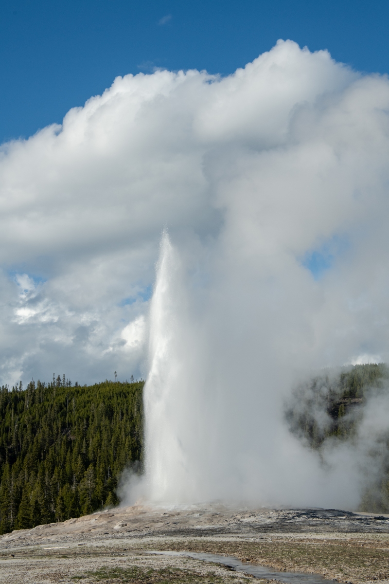 DSC_2025.jpg