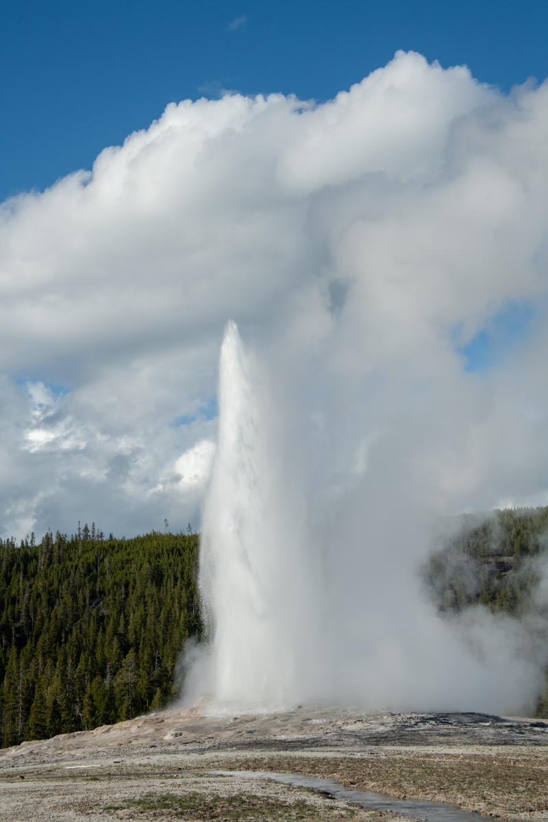 DSC_2026.jpg