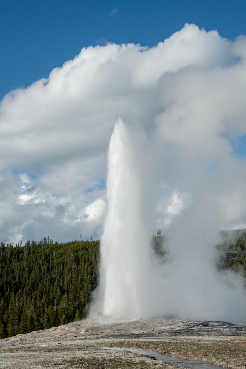 DSC_2028.jpg
