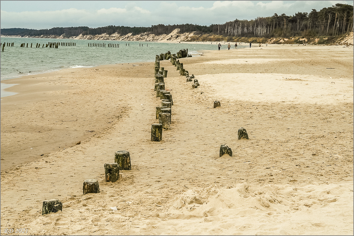 dsc_2029.jpg