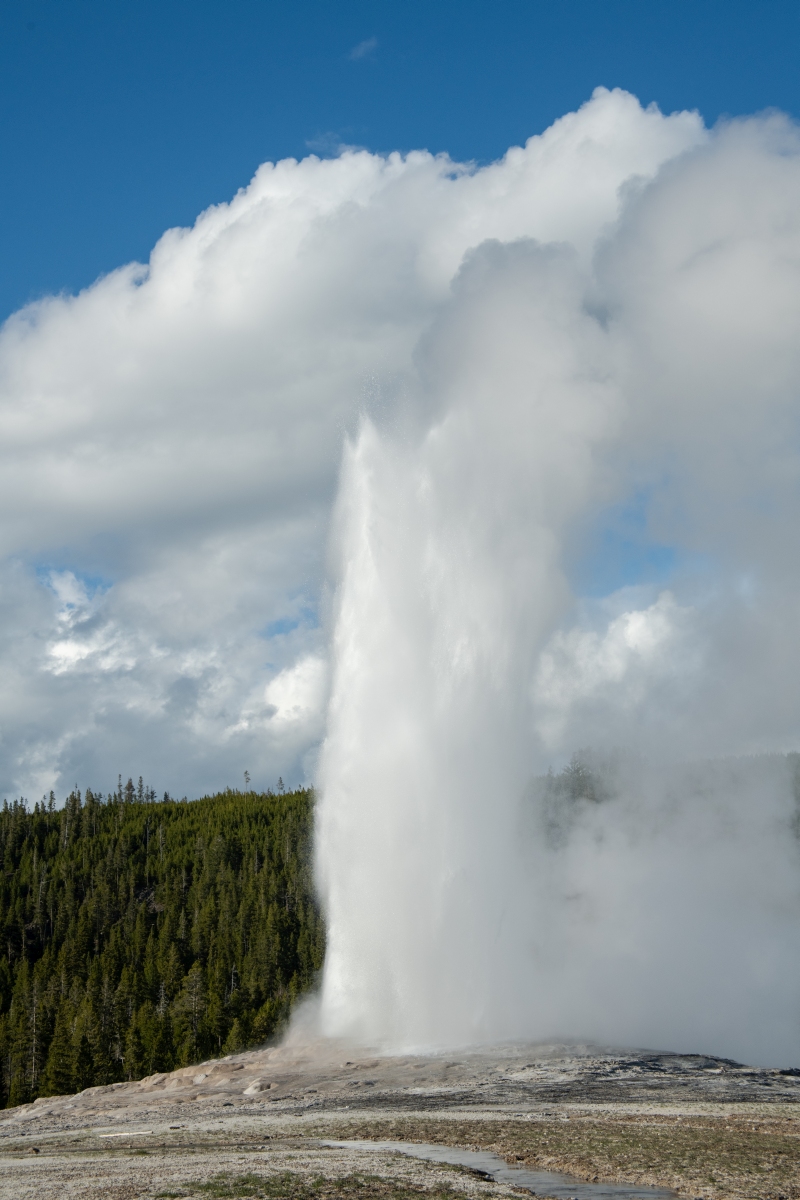 DSC_2030.jpg