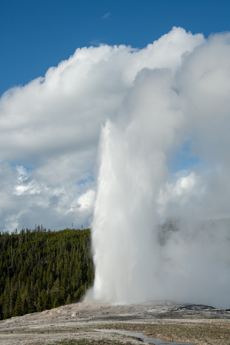 DSC_2031.jpg