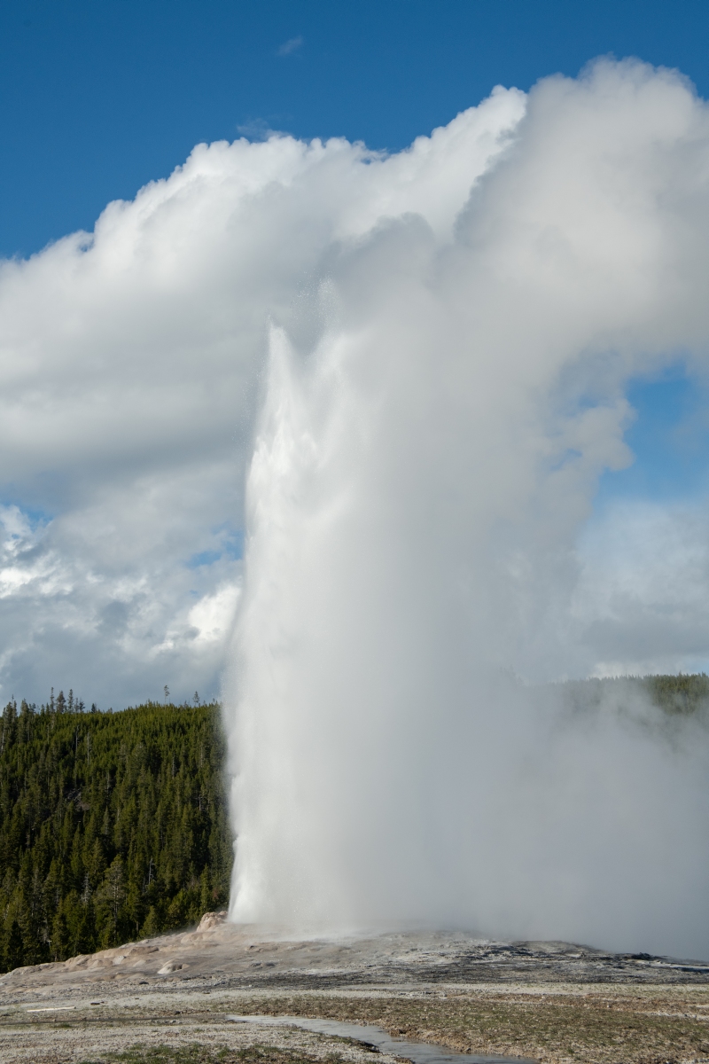DSC_2034.jpg