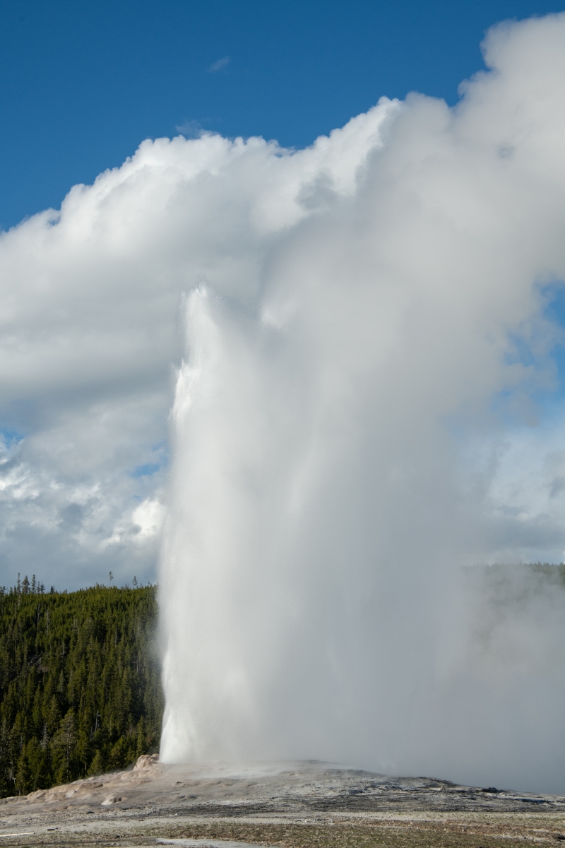 DSC_2037.jpg