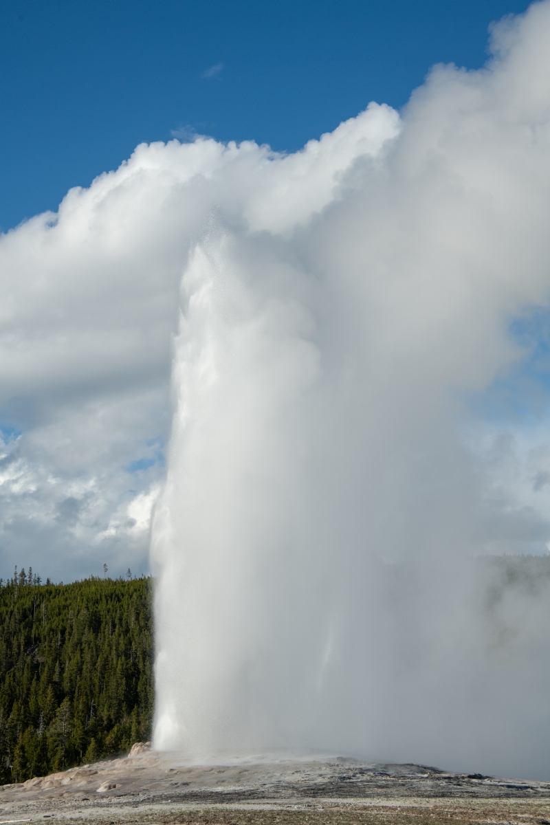 DSC_2039.jpg