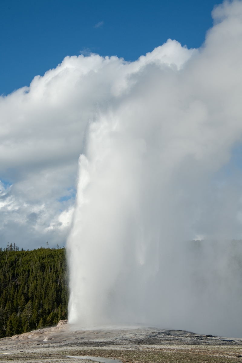 DSC_2041.jpg