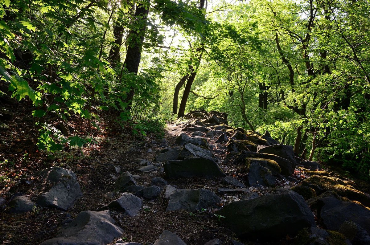DSC_2047_00001n.jpg