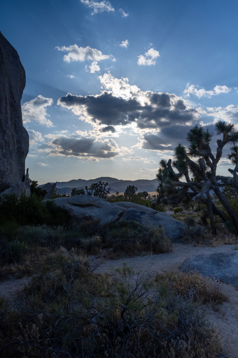 DSC_2053.jpg