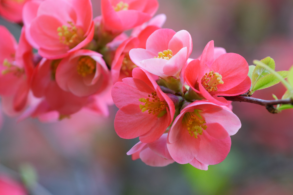 DSC_2054_DxO-1.jpg