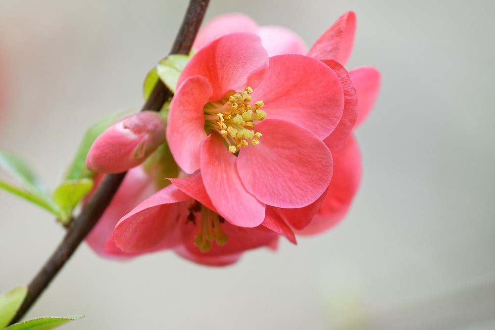 DSC_2059_DxO.jpg