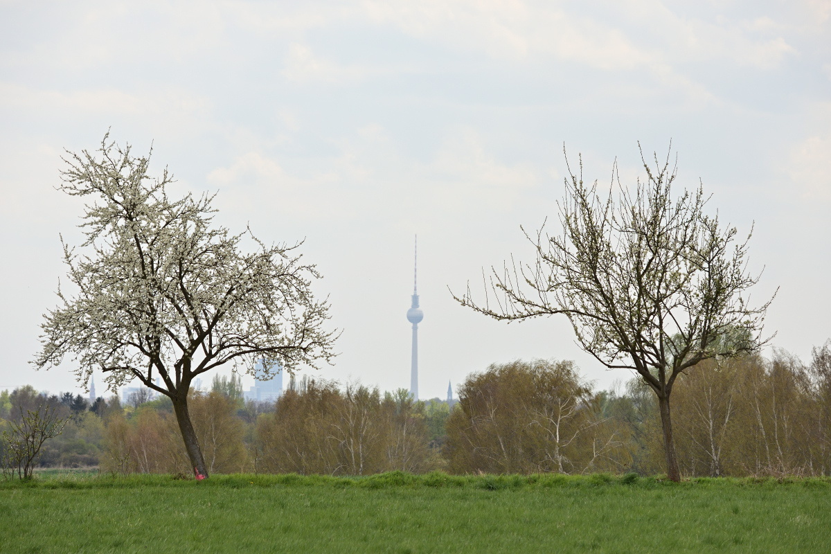 DSC_2063.JPG
