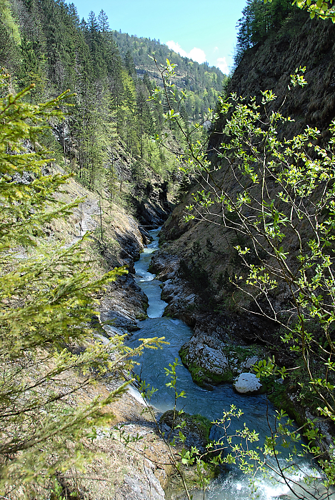 DSC_2071.jpg