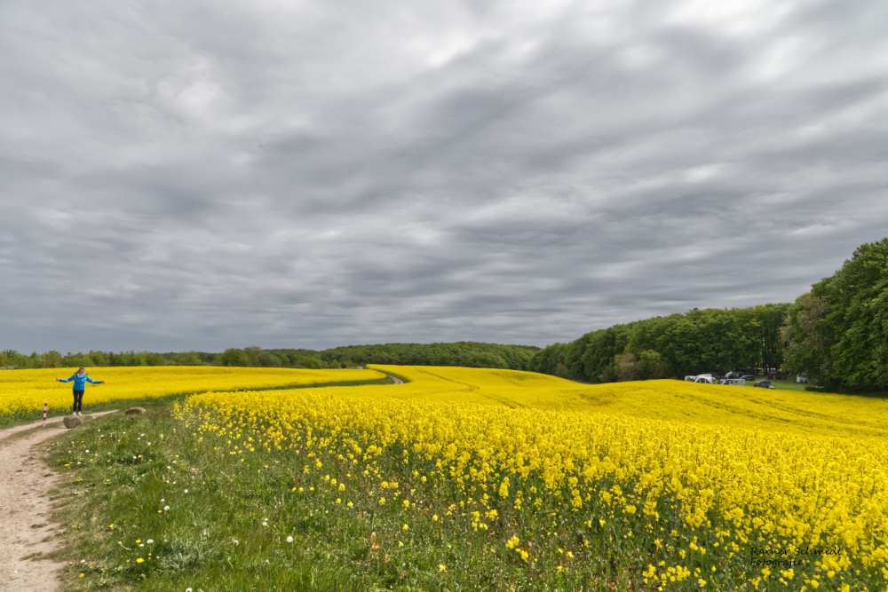 DSC_2074.jpg