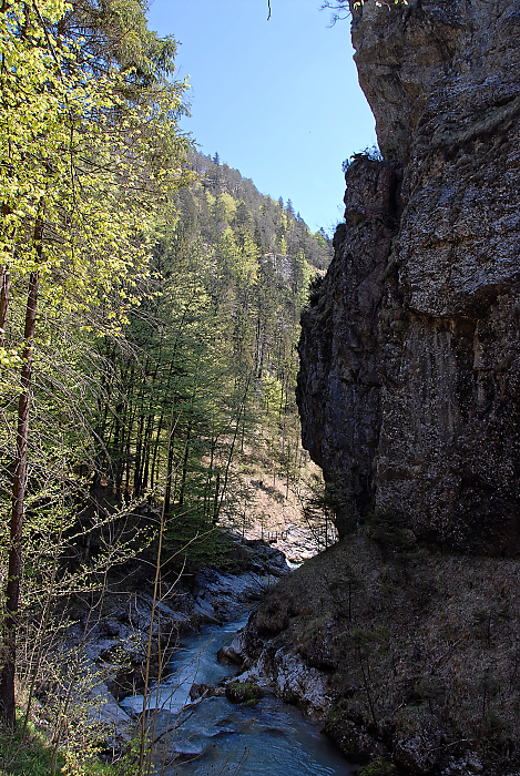 DSC_2079.jpg