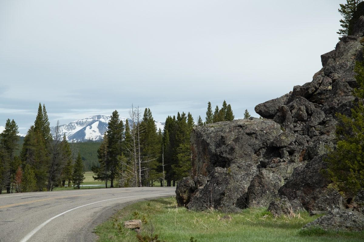 DSC_2083.jpg