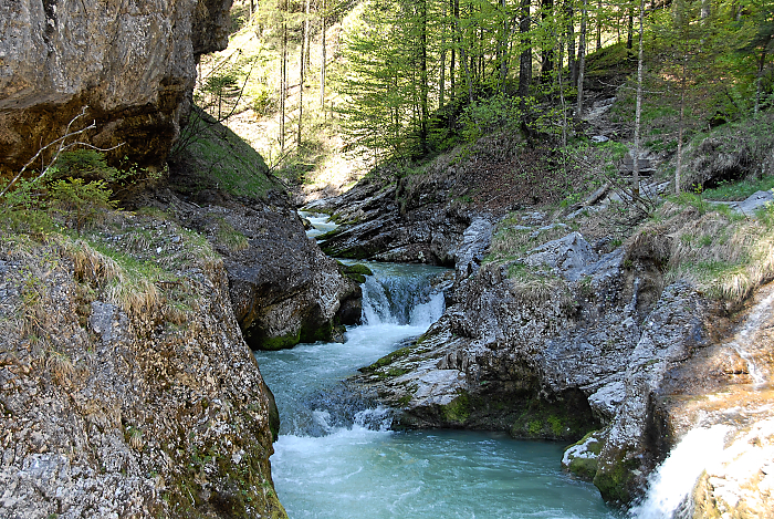 DSC_2085.jpg