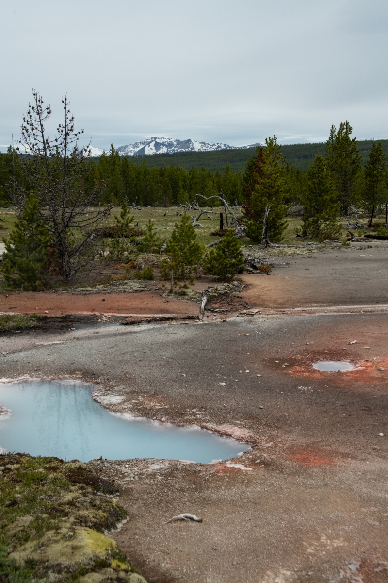 DSC_2087.jpg