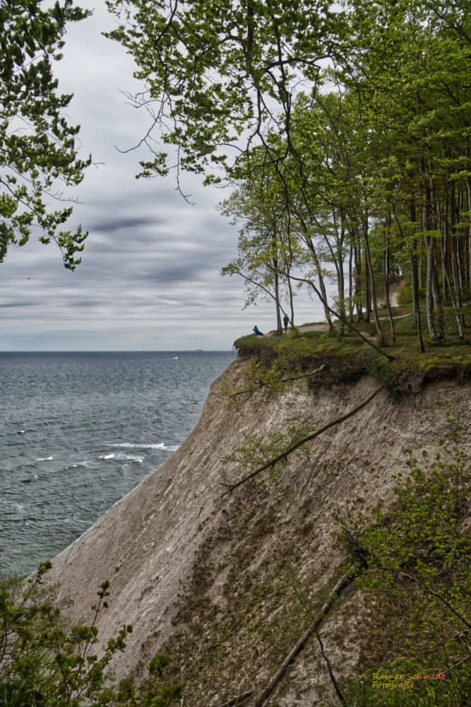 DSC_2111.jpg