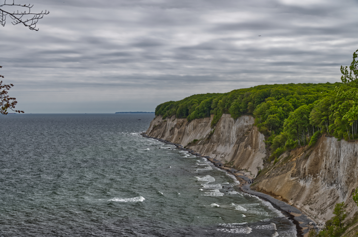 DSC_2117.jpg
