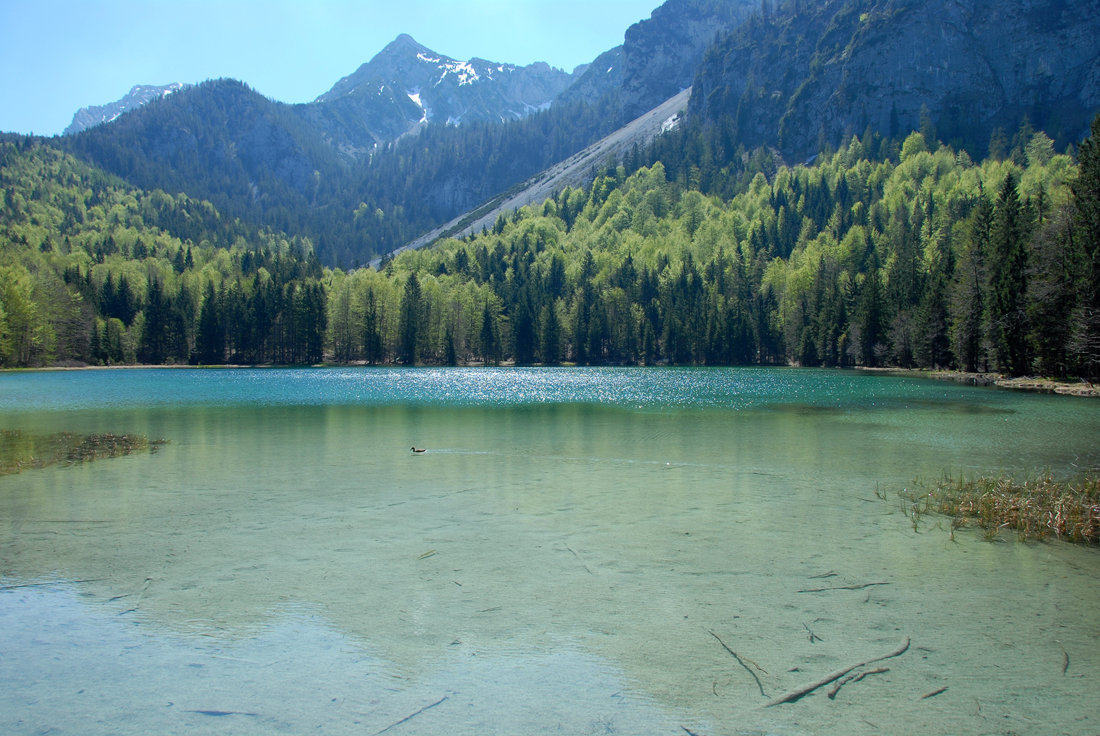 DSC_2119 Frillensee.jpg