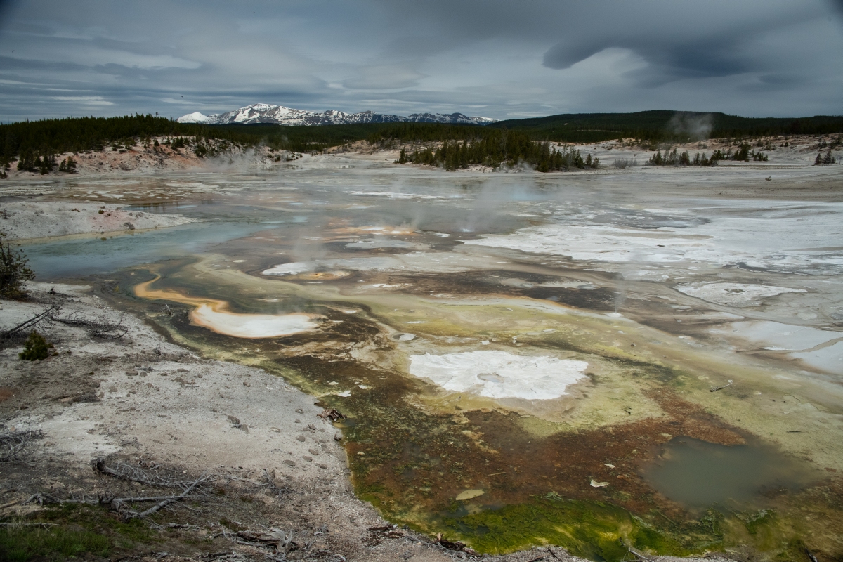 DSC_2122.jpg