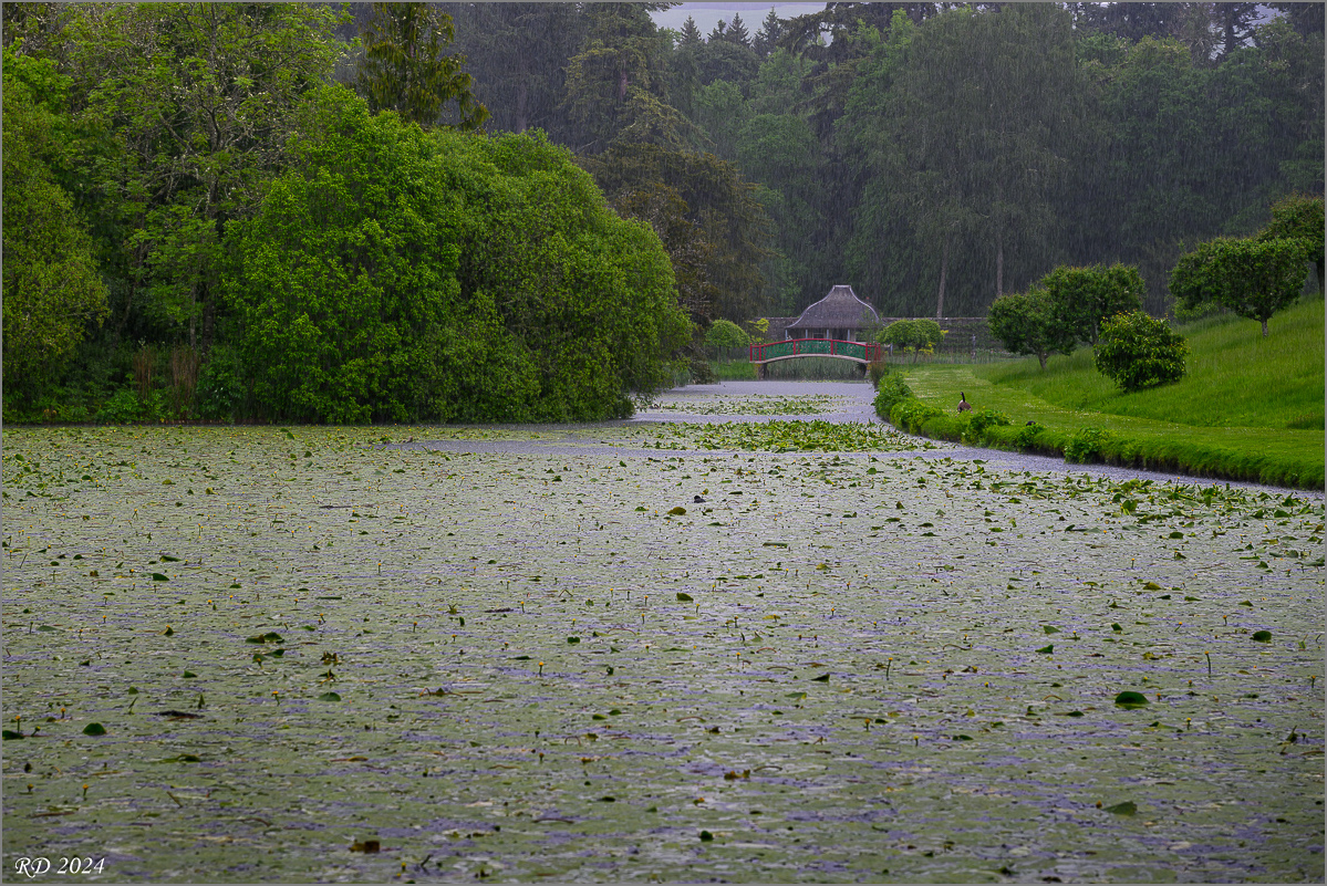 DSC_2130.jpg