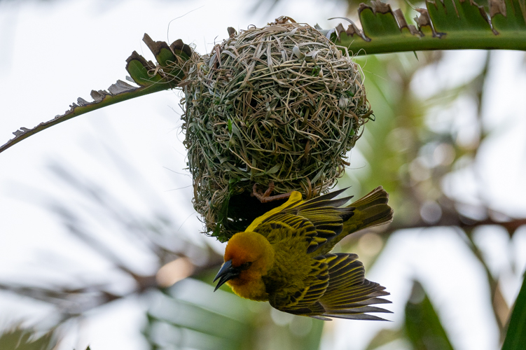 DSC_2133.jpg