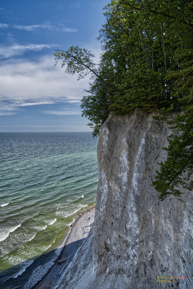 DSC_2161.jpg