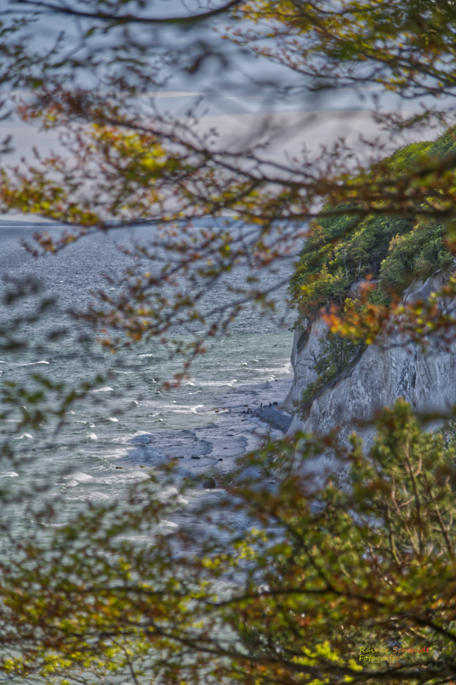 DSC_2163.jpg