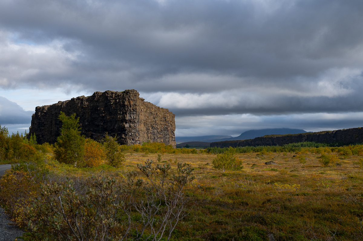 DSC_2167.jpg
