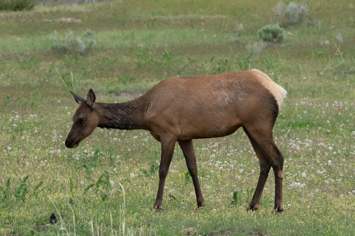 DSC_2169.jpg