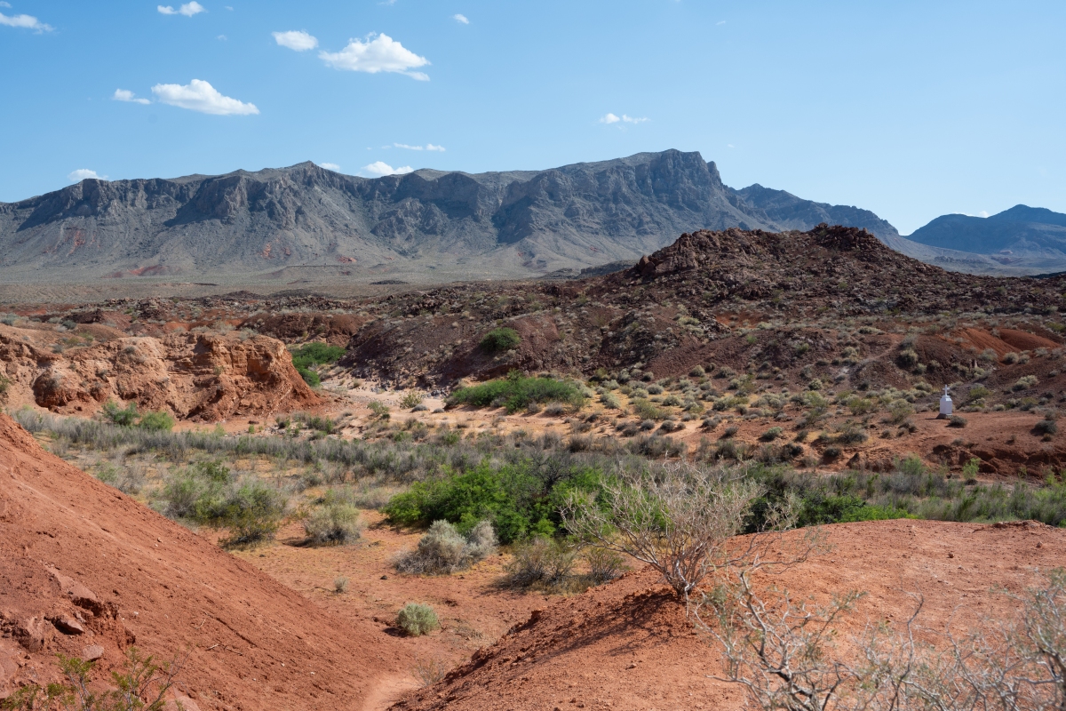 DSC_2182.jpg