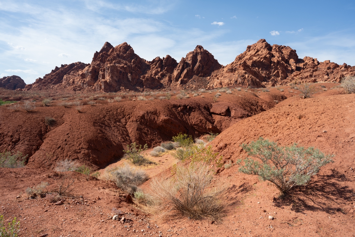 DSC_2183.jpg