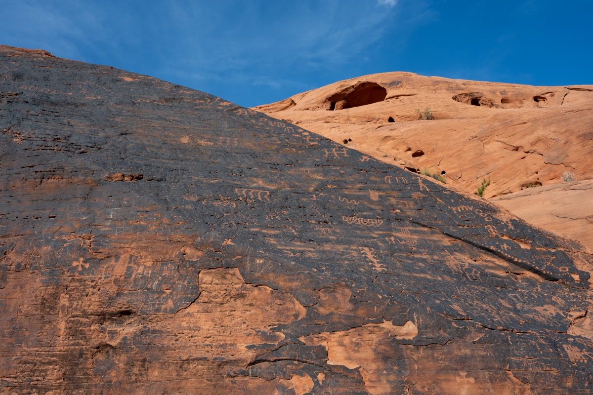 DSC_2198.jpg