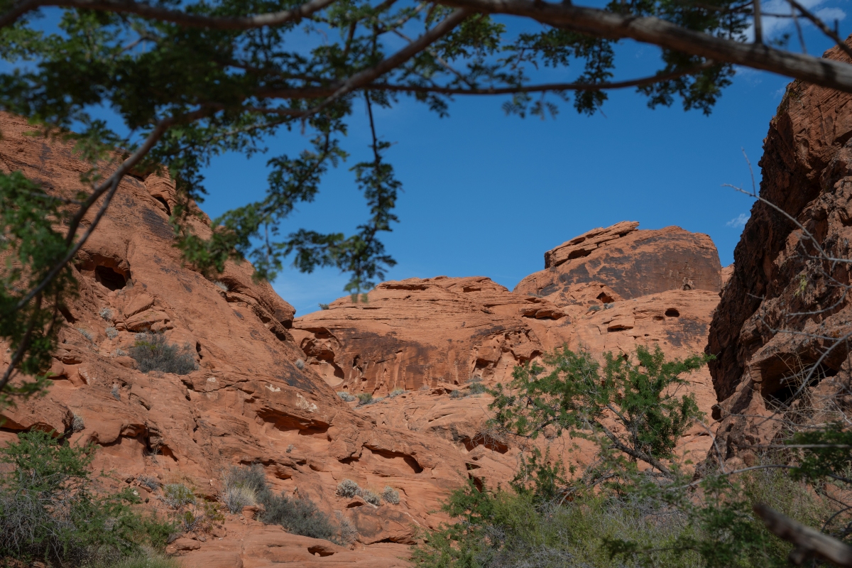 DSC_2206.jpg