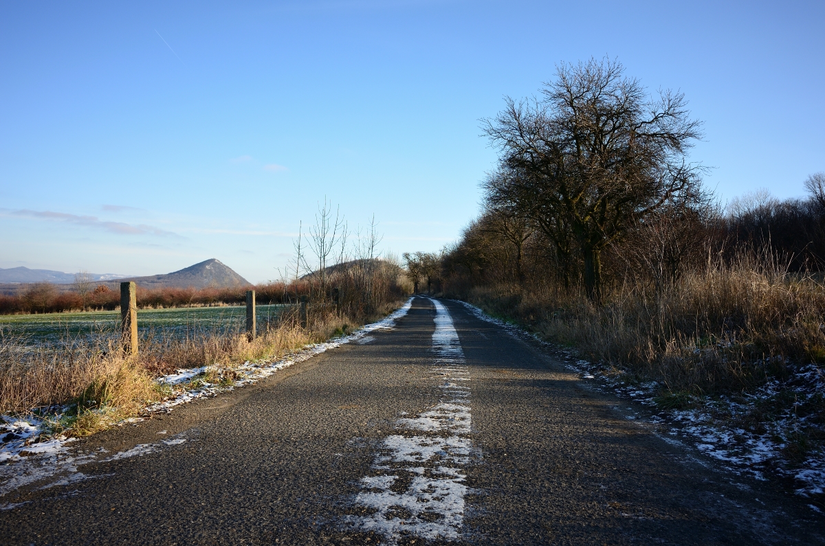 DSC_2212_00001n.jpg