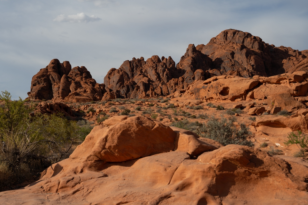 DSC_2219.jpg