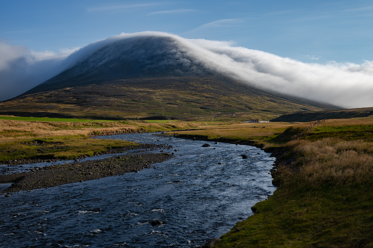 DSC_2219.jpg