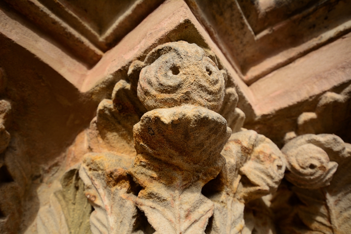 DSC_2238_00026n.jpg