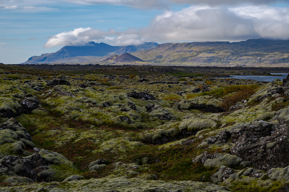 DSC_2239.jpg