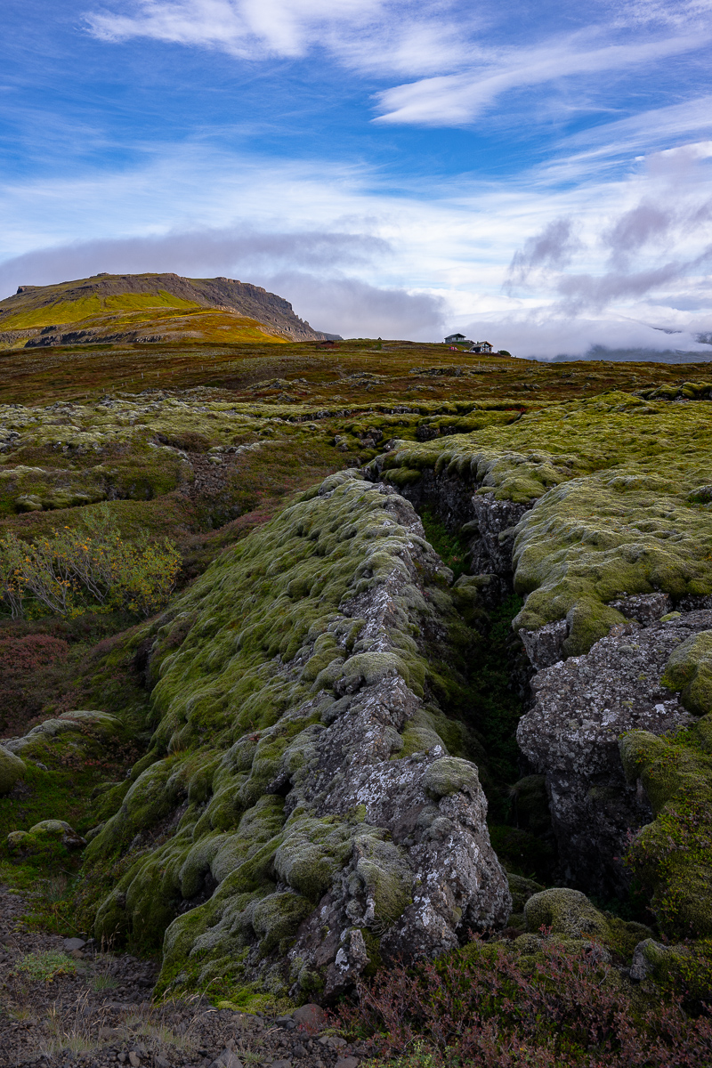 DSC_2240.jpg