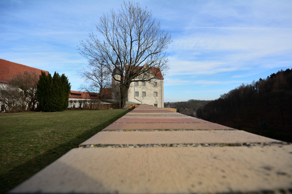 DSC_2247_00033n.jpg